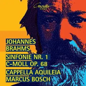 Cappella Aquileia & Marcus Bosch - Brahms: Sinfonie Nr. 1 (Live) (2022)