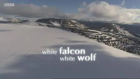 BBC - Natural World: White Falcon White Wolf (2008)