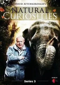 UKTV - Attenborough’s Natural Curiosities: Series 3 (2015)