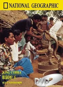 National Geographic - King Cobra