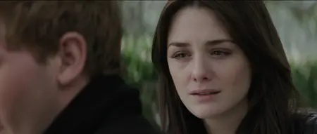 Fallen (2016)