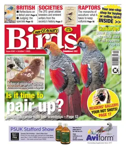 Cage & Aviary Birds - 1 October 2025