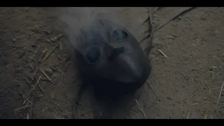 La Révolution S01E05