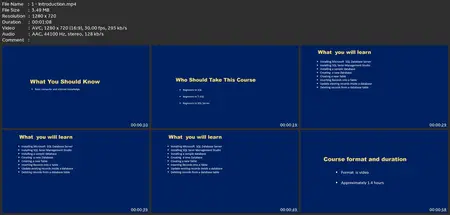 T-Sql (Transact-Sql) For Beginners With Microsoft Sql Server