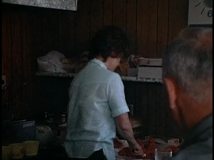 Running Fence (1977)