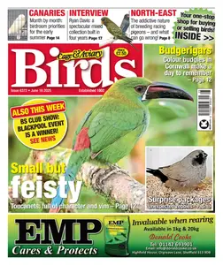 Cage & Aviary Birds - 18 June 2025
