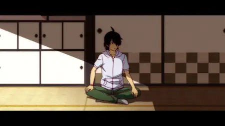 Nisemonogatari - 03