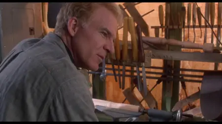 A Simple Twist of Fate (1994)