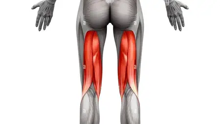 Hamstrings power : 10 Exercise to boost leg & sex life