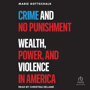 Crime and No Punishment: Wealth, Power, and Violence in America