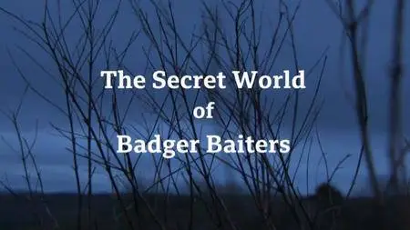 BBC - Wales Investigates: The Secret World of Badger Baiters (2018)