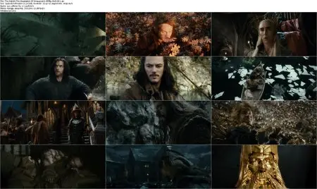 The Hobbit: The Desolation of Smaug (2013)