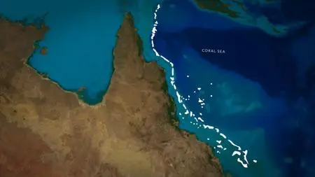 BBC - Wonders of the Great Barrier Reef (2018)