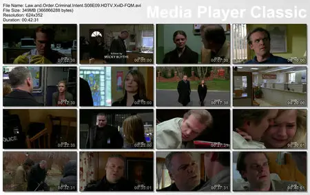 Law and Order Criminal Intent S08E09