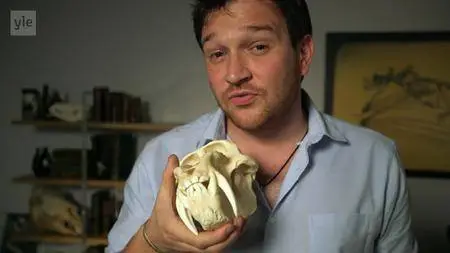 BBC - Secrets of Bones (2014)
