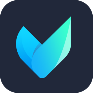 Vidmore Video Converter 2.3.36