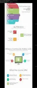 Master Document Management System (DMS) with Alfresco