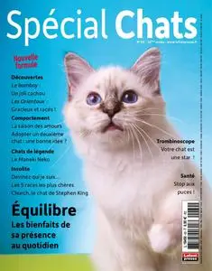 Spécial Chats – 01 juin 2023