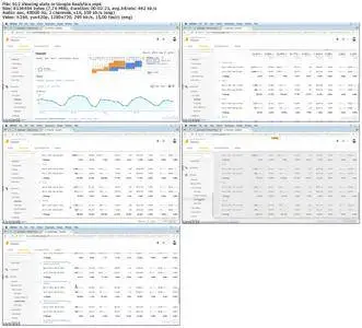 Lynda - WordPress Plugins: Analytics