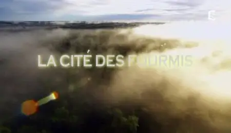 (Fr5) La cité des fourmis (2012)