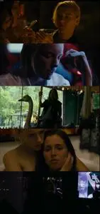 The Invisible Guardian (2017)