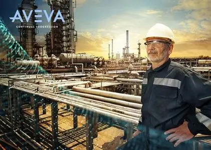 AVEVA PRO/II Process Engineering 10.2