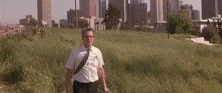 Falling Down (1993)