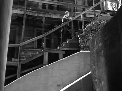 Chicago Calling (1951)