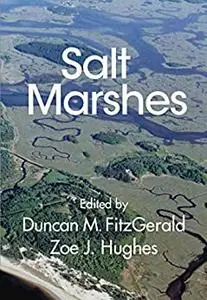 Salt Marshes: Function, Dynamics, and Stresses