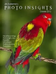 Photo Insights - October 2013