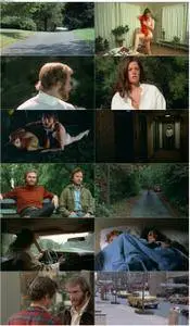The Sister in Law (1974)