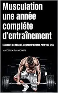 Musculation une année complète d’entraînement