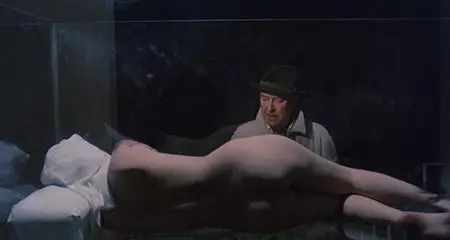 The Pyjama Girl Case (1977)