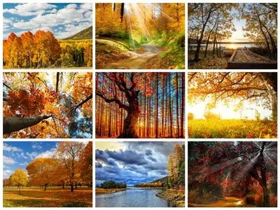 60 Wonderful Autumn FullHD Wallpapers