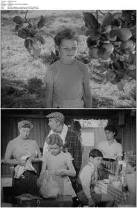 Adventure in the Hopfields (1954)