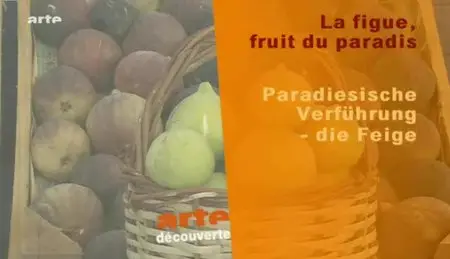 (Arte) La figue, fruit du paradis (2012)