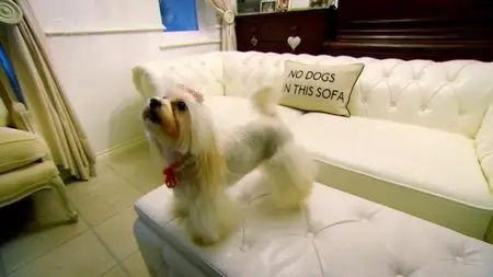 Channel 5 - The Truth About Your Dog's Food (2014)