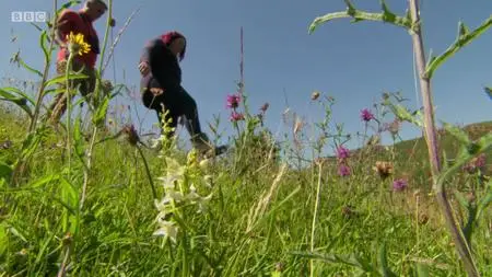 BBC Documentaries S2019E74