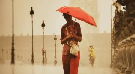(Fr5) L'art de la pluie (2014)
