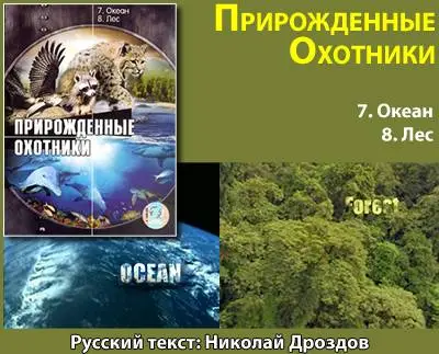 Прирожденные охотники. Диск 4