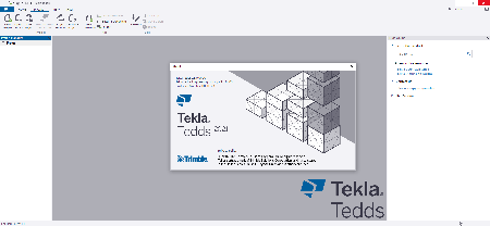 Tekla Structural Design Suite 2021