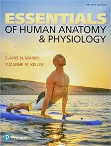 Essentials of Human Anatomy & Physiology Ed 12