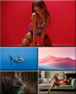 Computer Desktop Wallpapers Collection. Part (2944)