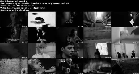 Sobiratel pul / Bullet Collector (2011)