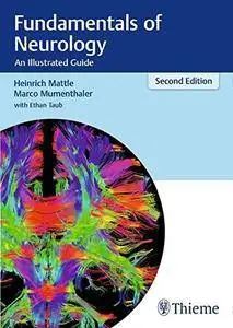 Fundamentals of Neurology: An Illustrated Guide, 2nd Edition
