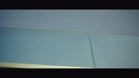 Love Birds (2017)