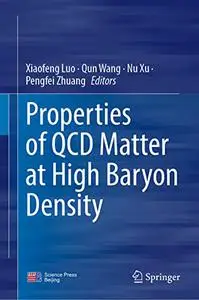 Properties of QCD Matter at High Baryon Density