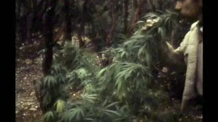 Murder Mountain S01E02