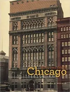 Henry Ives Cobb's Chicago: Architecture, Institutions, and the Making of a Modern Metropolis