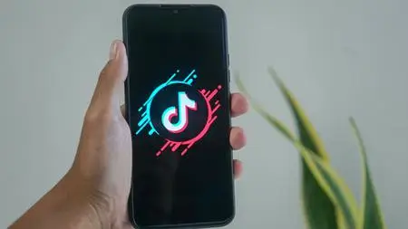 Tiktok Viral Hacks Course